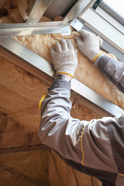 Best Types of Insulation in Farmersville, CA